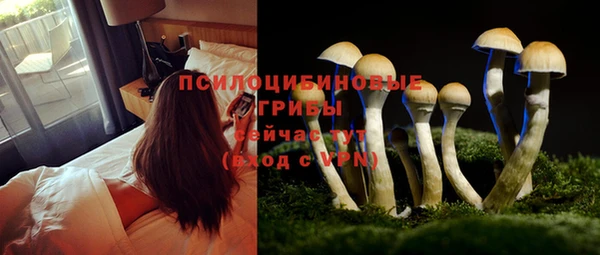 таблы Мегион