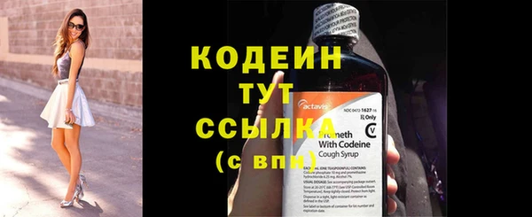 дмт Медвежьегорск