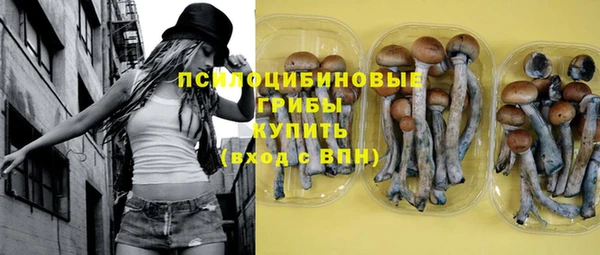 индика Михайлов