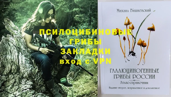 таблы Мегион